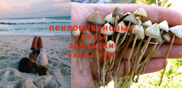 гашик Бородино