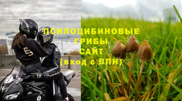 гашик Бородино