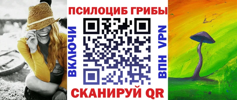Купить где  Бирюсинск  Галлюциногенные грибы Psilocybe 